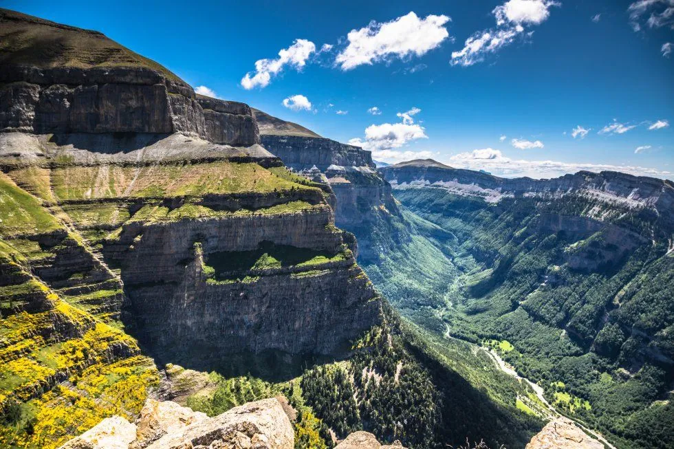 Experiencia